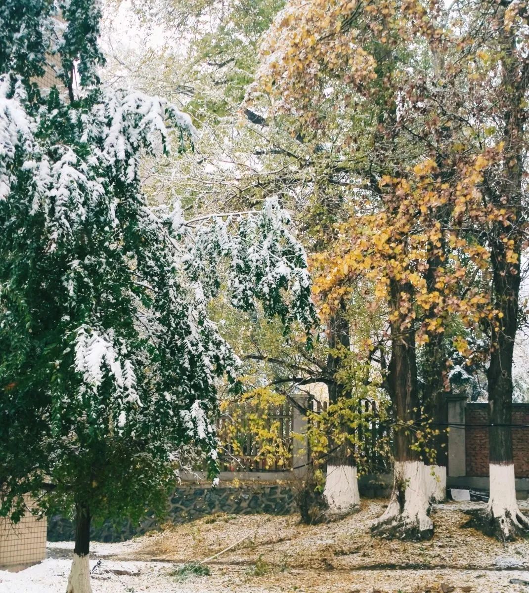 640.jpg