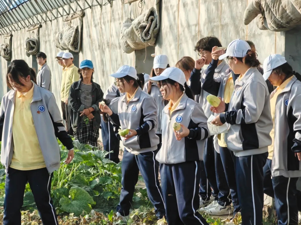 微信截图_20241010001724.png