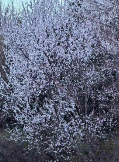1746790004976.png