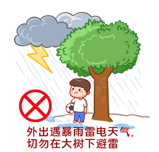 640 (14).png